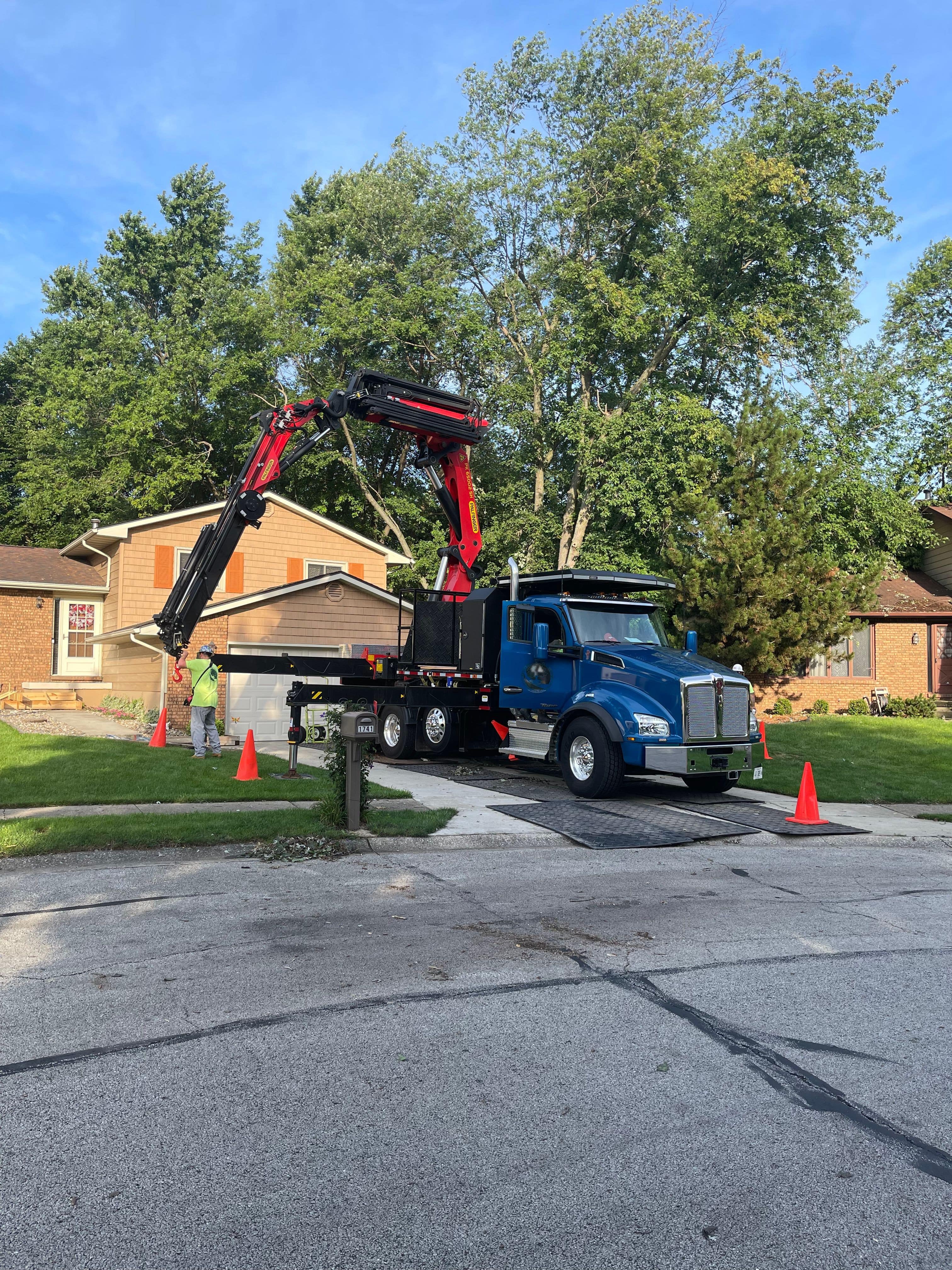 Crane Lifting Limb